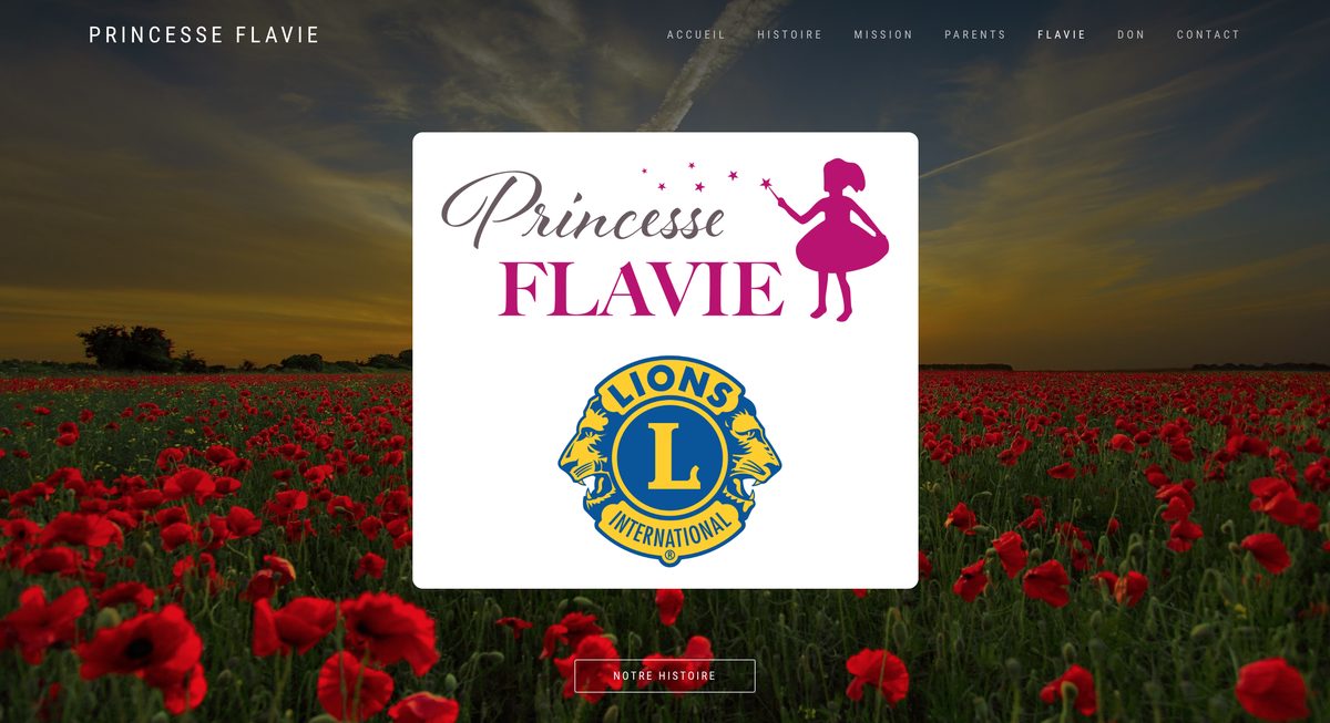 Aperçu du site de l'association Princess Flavie